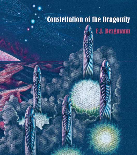 constellation of the dragonfly cover
